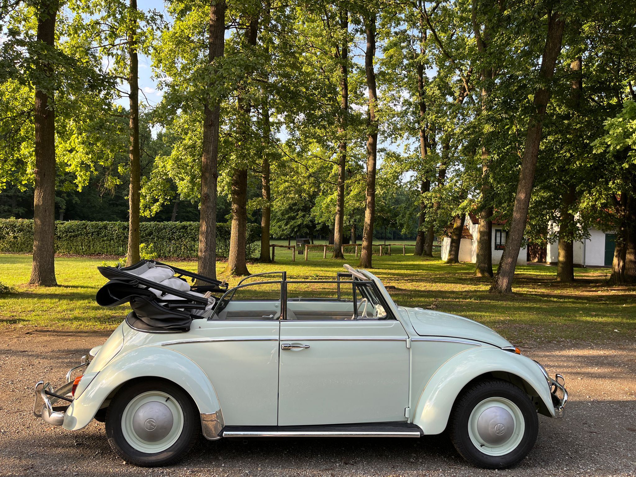 1964 VW Beetle convertible